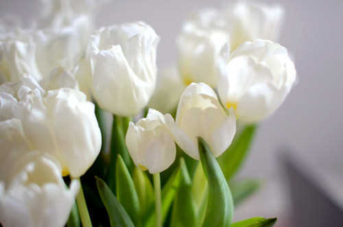 junibsam's profile picture. 