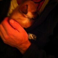 Julie (@jcoe00) 's Twitter Profile