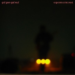 GafGamGafMaf's profile picture. Creative concept that experiment with the new sound parameters, uniquely developed by the artist for the live performances