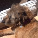 Dusty summers - @Dusty06683226 - Twitter