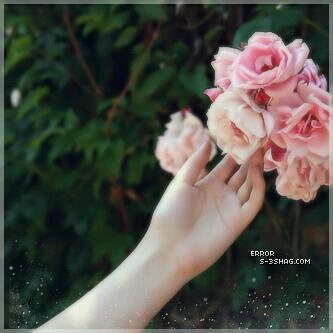 Sema54493857's profile picture. English Translator مدربة ومترجمة  لغة انجليزية