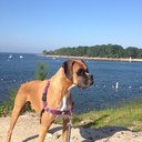 James Italia - @jimboitalia - Twitter