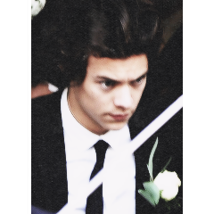 wideofrauhls's profile picture. ♡ wheel of life is always spinning ♡