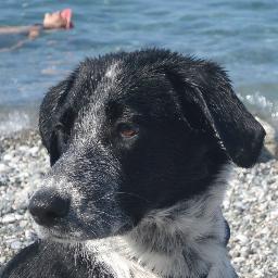 ZooCosmos's profile picture. 