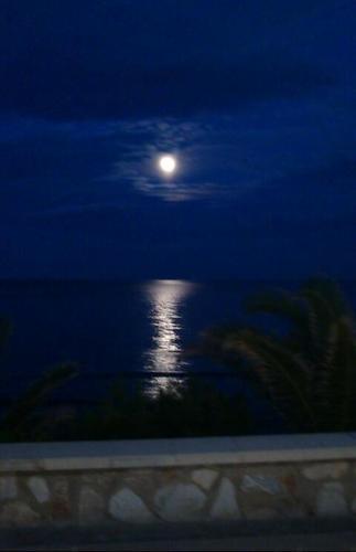 EmiAsensio's profile picture. 