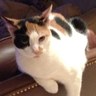Gingerprice's profile picture. TRUMP 2024!! GingerUltraMagaPatriot Conservative Wife, Mom, Small Business Owner, Political Junkie! MAGA! 🇺🇸🇺🇸🇺🇸 WWG1WGA