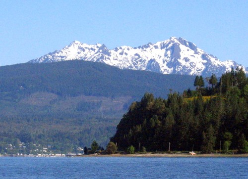 hillfolkheights's profile picture. 