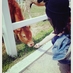 MIRANDA (@bmirane) Twitter profile photo