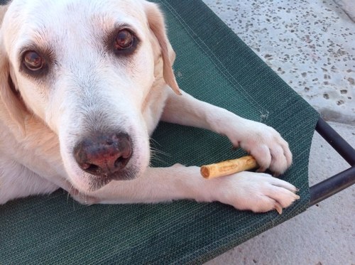 robboram's profile picture. 