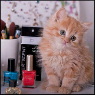 هيوووف ☺ 2A7EAEAF