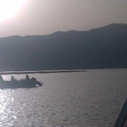 mlindonacarino's profile picture. 