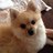MAX2NE1's profile image