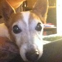 dave corbett - @xldcsr - Twitter