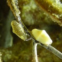 Kate Shattuck - @shattuckk1 - Twitter