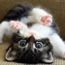 Emilee lee - @emileeeee99_lee - Twitter