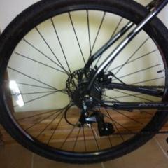 tubbybikers's profile picture. 