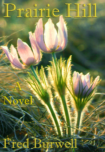 Author of novel, Prairie Hill. Freelance writer, editor.  Archivist at Beloit College.  Born in Maine, lived in Connecticut and Philadelphia.
