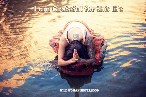 angimarstar's profile picture. Gosto de viver a Vida a Sorrir; respirar a Natureza; apreciar o que há de BOM