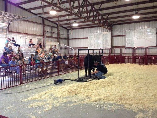 KClamme's profile picture. 