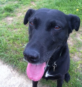 Titch_Viner's profile picture. Juggling family logistics - trying not to drop anything...