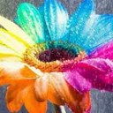 lizzie_bird - @Zumba_diamond - Twitter