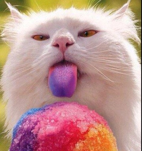 SharonYeo1's profile picture. 