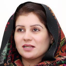 provincial  Vice president  ANP