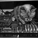 Ciara Green - @ciaragreen0 - Twitter