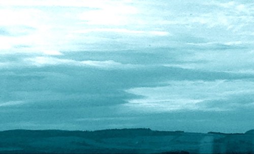 MindfulForum's profile picture. The twitter feed for Nilupul Foundation's Peace promoting activities and Peace Day celebrations dedicated to both inner & outer peace.