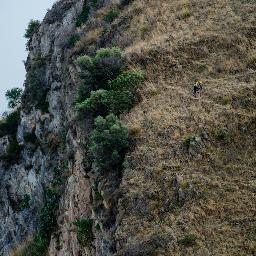 cesarfriasO's profile picture. 