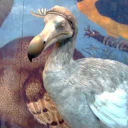 MehranSahami's profile picture. https://t.co/IeEBkmsLNG