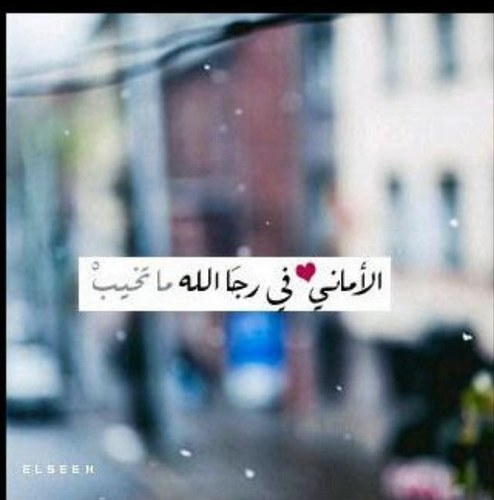 استغفــــــــــــــــــــــــــــــــــــــــــــر الله واتوب إليه\\•