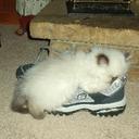 Hannah Lillian Morse - @HannahLillianMo - Twitter