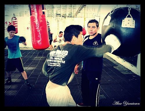 Boxeo c: , Tengo novia , Soy feliz etc.