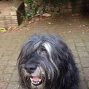 Vicki Shepherd - @Vickishepherd10 - Twitter