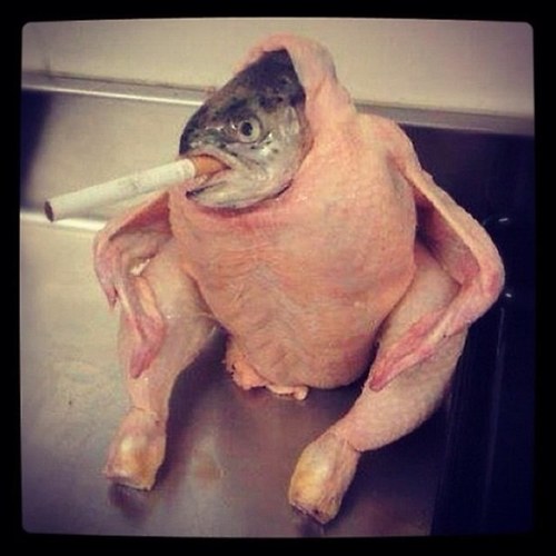 _Guuser's profile picture. 