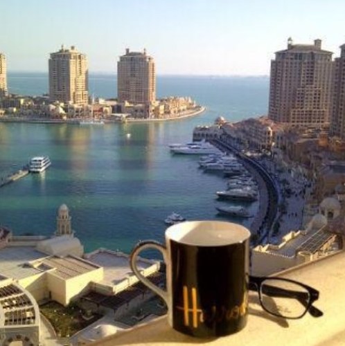 alkathiri9's profile picture. 