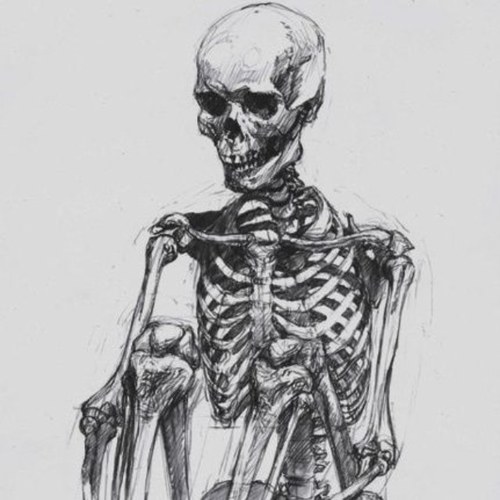 Fat|ugly|broken|dm me if you ever need a friend. I just wanna be a skinny golden Skeleton.