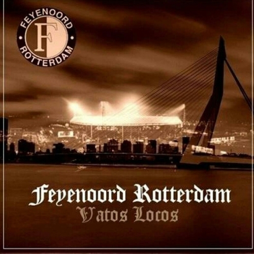 Feyenoord suporter seizoenkaart vak r , en onze hond finn een Shar-Pei ,playstation, en onze katten Lola en Kay