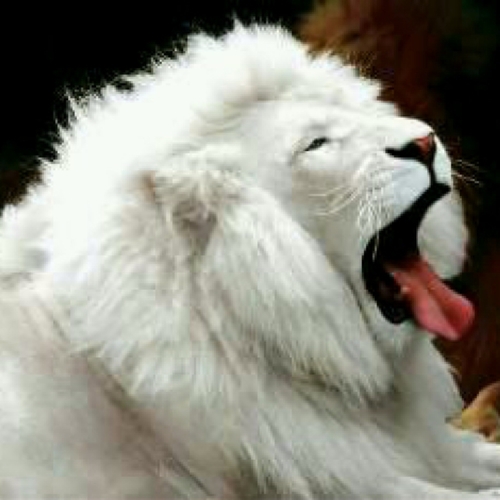 If you don't learn anything new today,tomorow will be just like today,always put your trust in God.
