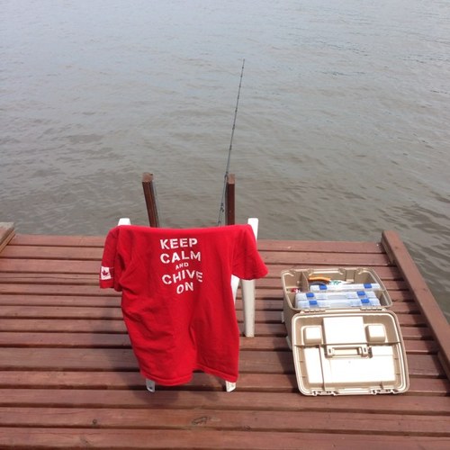 Birdman6969's profile picture. i like the occasional beer, long walks on colert beach and dining at the fanciest of kopper kettle restaurants