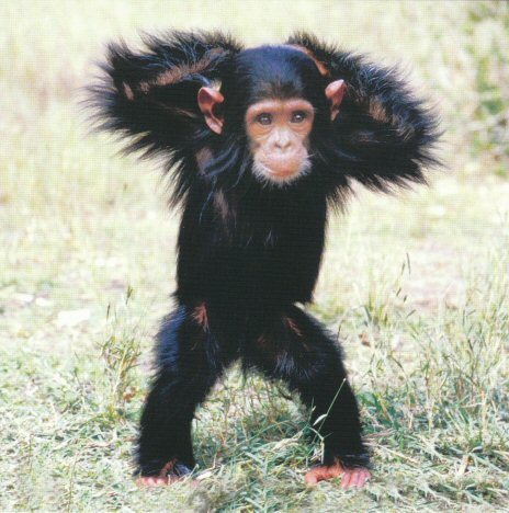 OrbBacon's profile picture. Boring old fart who lurks around following others. Real ale aficionado. Follower of crewed spaceflight since Yuri. On Elder Scrolls Online as Salacious Orb.