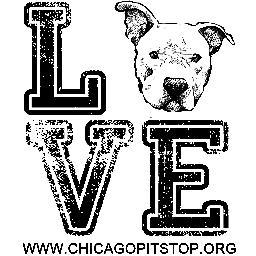 Non Profit Dog Rescue pulling dogs from high kill shelter in Chicago.