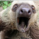 Sally Nicholas - @SallyNicholas - Twitter