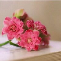 بنت الرس (@bintalraas) Twitter profile photo