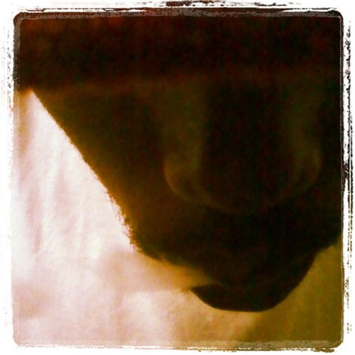 StonerLifeGlobal