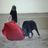 AlePajarito83's profile image