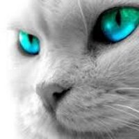 Amrita (@ammri_ta) 's Twitter Profile Photo