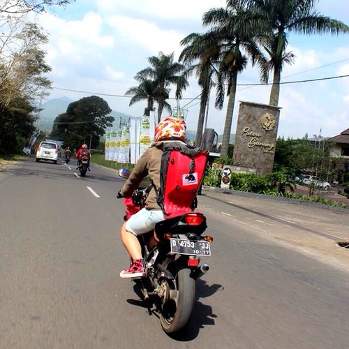 Yoyyo0's profile picture. Dustonski Siberian