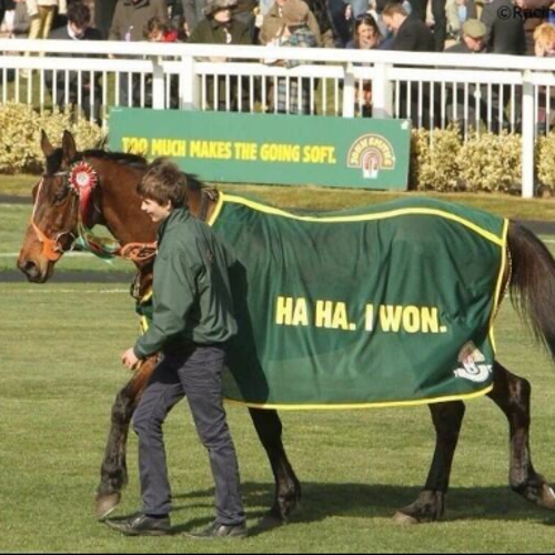 I use colored saddle pads with matching polos...if you don't like it don't follow me